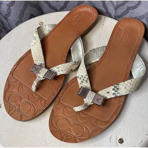 Coach Flip Flops Womens 9 B Sable Metallic Snake Skin Signature Sandal